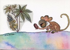 CARTE POSTALE ILLUSTRATEUR // PUIG ROSADO // LE SINGE AU RICIN