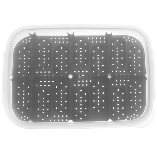 Incubateur tortue pour - de,
