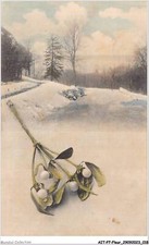 AITP7-FLEUR-0626 - perce-neige