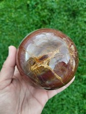 Bois Fossile Forme Sphère