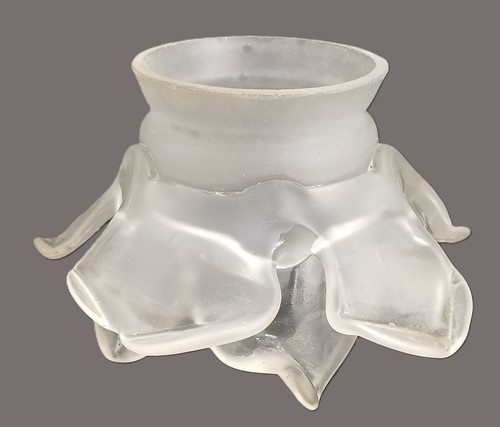 Tulipe verre transparent - tulipe,