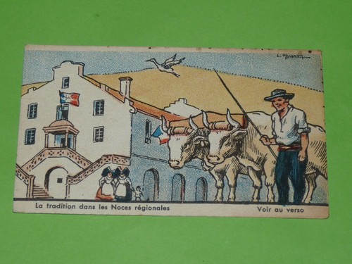 Chromo 1935 1938 chocolat - chromo,