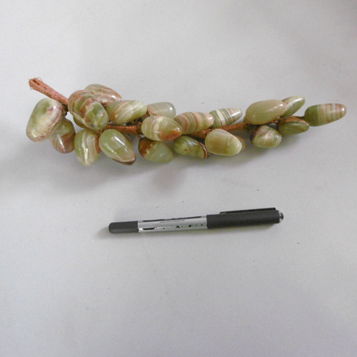 Longue grappe raisin - raisin, en