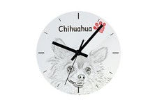 Chihuahua À Poil Long Montre