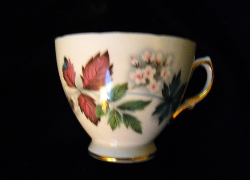 Vintage tea cup bone china - 2,