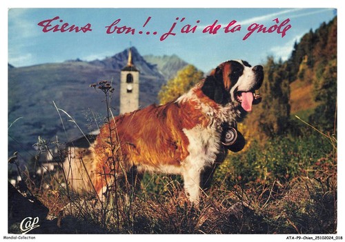 Atap9 0637 chien - atap9-0637-chien,