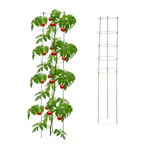 Support plantes grimpantes