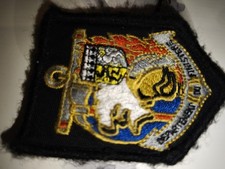 écusson pompier sdis29 Finistère