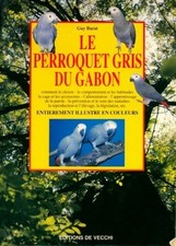 Le perroquet gris du Gabon -