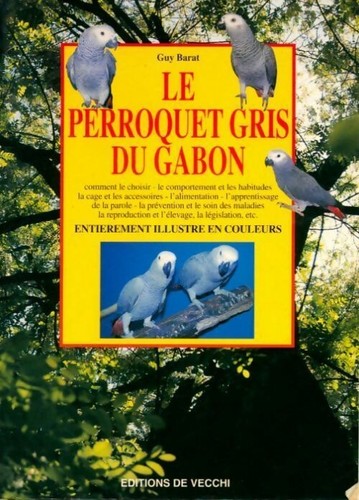 Perroquet gris gabon - le,