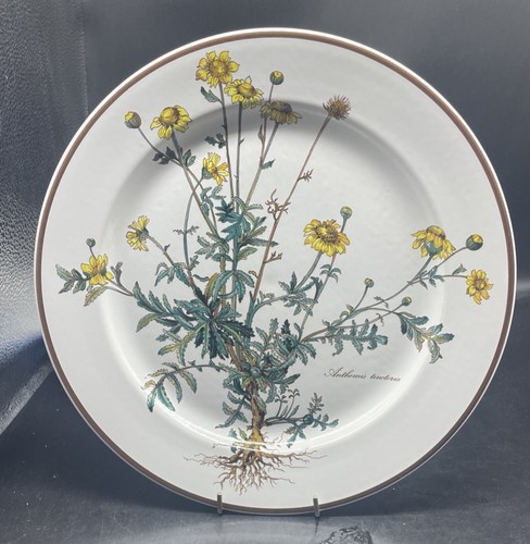 Villeroy boch botanica - villeroy,