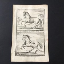 Gravure Parrocel (1688-1752) Cavalier Le Galop XVIIIè Equitation Cheval