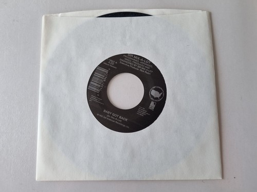 Sir mix lot - mix-a-lot, back