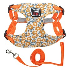 Harnais et laisse pour chien