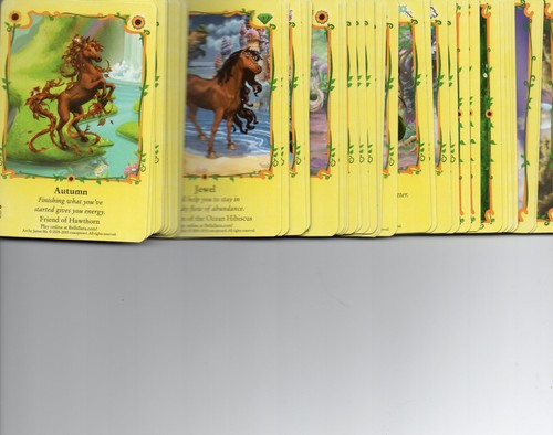 Bella sara ccg sunflowers - sara,