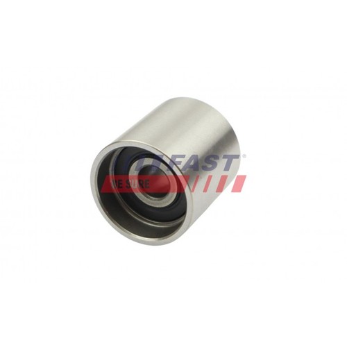 Galet tensionor timing belt