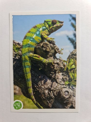 Image sticker autocollant