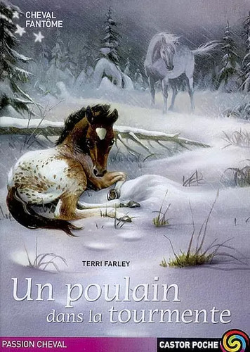 Cheval fantôme tome un - fantôme,,