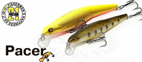 Pontoon poisson nageur - 21,