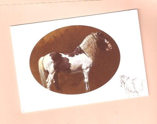 Horse notecards note - note, card