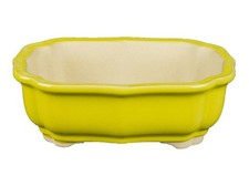 Pot bonsaï ovale grès - pot,