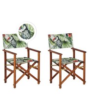 Lot de 2 Chaises Pliables Bois