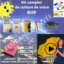 Blob Kit Complet Sclérote Physarum Polycephalum Jaune Fabriqué en France àCahors