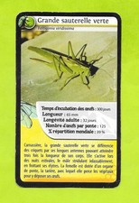 Carte - Grande sauterelle