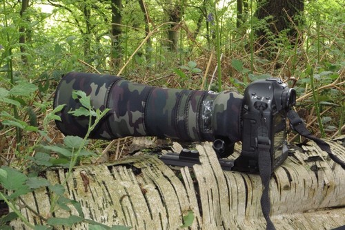 Sigma 150 600mm - 150,