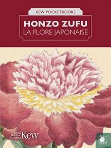 Honzo zufu flore japonaise - honzo, la