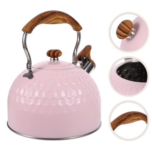 Bouilloire sifflante acier - bouilloire, en