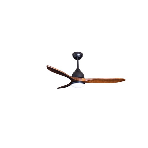 Ventilateur plafond avec - ventilateur,