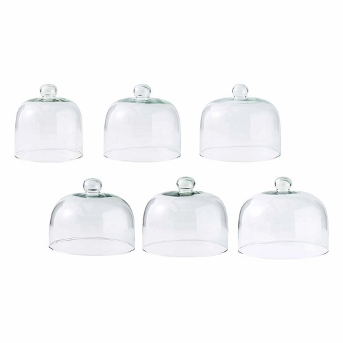 Cloche gâteau - cloche, à