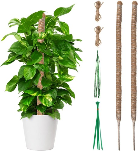 Tuteur monstera 60cm pliable - 60cm,