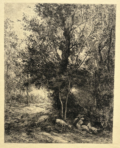 Berger bergere gravure eau - gravure,