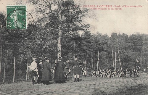 Chasse courre forêt - chasse,