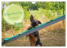 Entraînement des chiots au