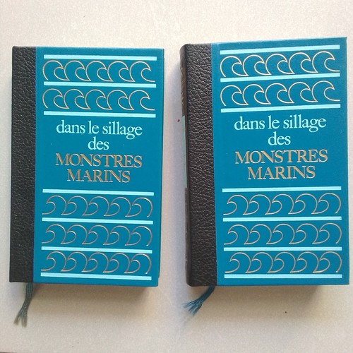 Dans sillage des - le,