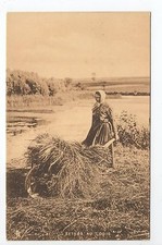 Agriculture campagne scenes - agriculture,