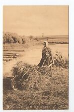 AGRICULTURE CAMPAGNE scenes champetres vie agricole  paysanne brouette foins