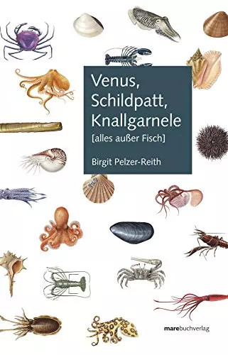 Venus schildpatt - venus,,