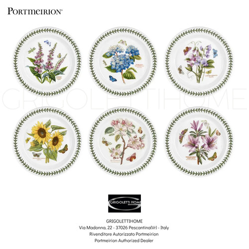 Portmeirion botanic garden - -,