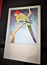 CPA - Rosella Perruche Omnicolore N°54