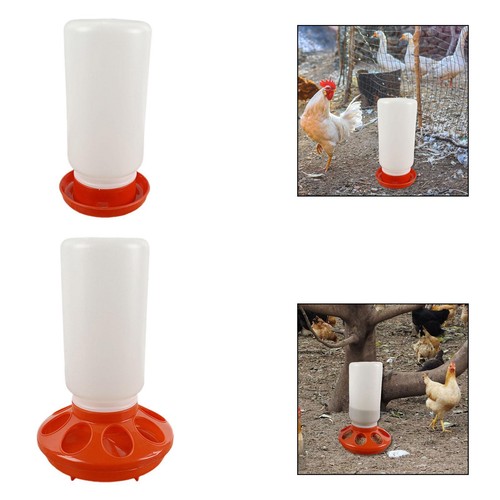 Mangeoire abreuvoir pour - mangeoire,