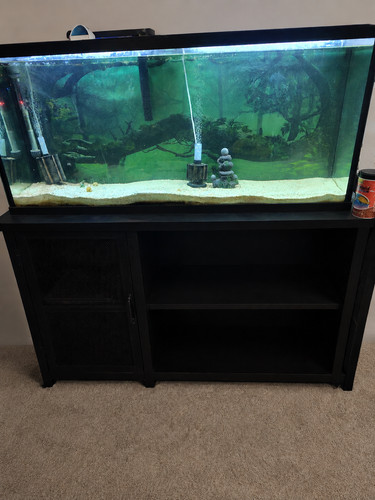 Aquarium - aquarium,