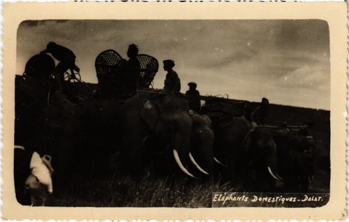 Cpa vietnam éléphants - vietnam,