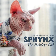 Chat sphynx calendrier mural - chat,