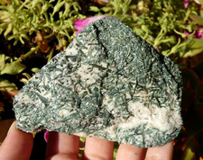 Fin cristaux Actinote actinolite sur Talc Tyrol - 10x7.5cm Minéraux collection