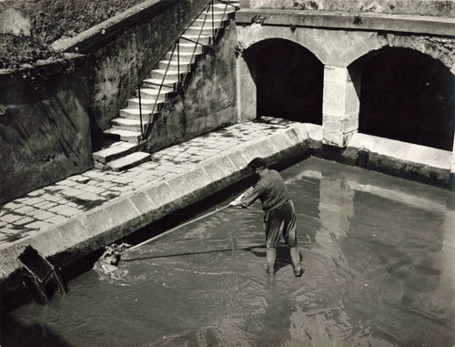 Ancienne photographie 1960 - ancienne,