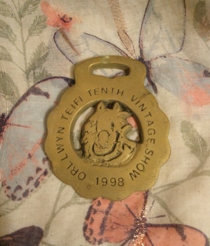 1998 orllwyn teifi 10th - teifi, annual